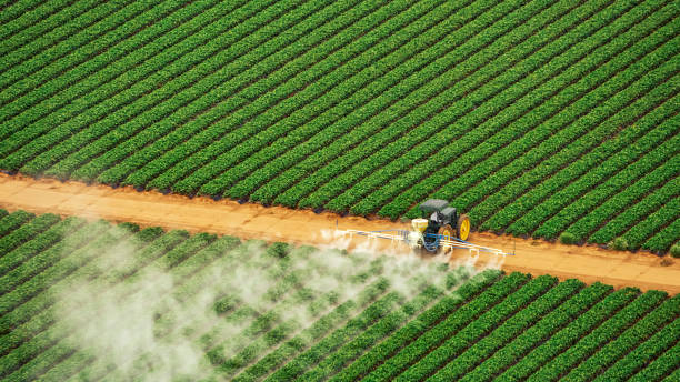 Best Pest Removal Services  in Sanger, CA